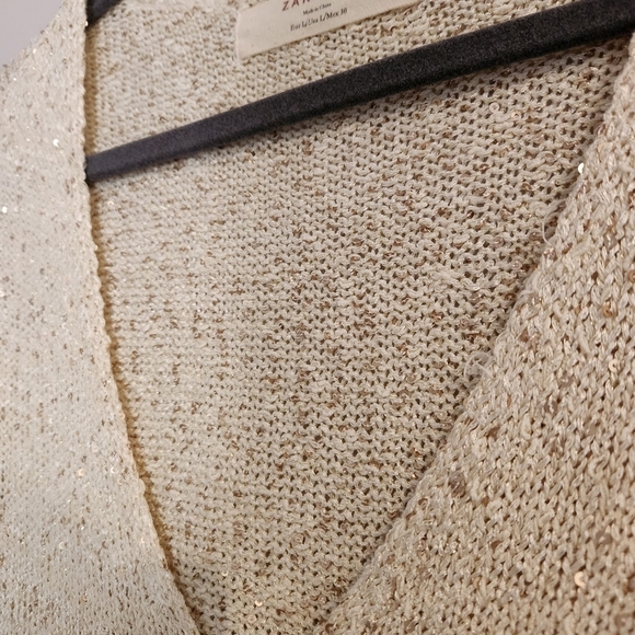 Zara Knit V-Neck Sweater with Gold Shimmer Flecks – Size Large - Picture 5 of 9